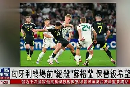 安卓iOS客户端下载-包含瑞士-险胜保加利亚，欧洲杯比赛小组淘汰赛首轮的词条